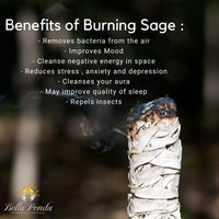White Sage